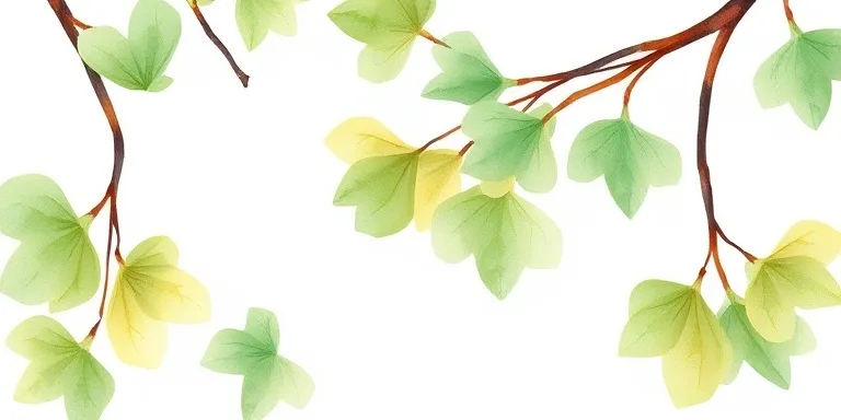 Ginkgo Biloba